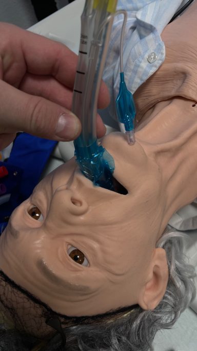 Larynxtubuseinlage bei einem geriatrischen Dummy