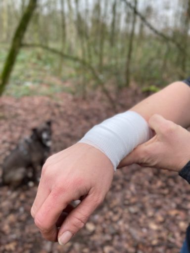 Wundversorgung nach einem Hundebiss