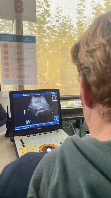 Auswertung eines Sonographie Bild

